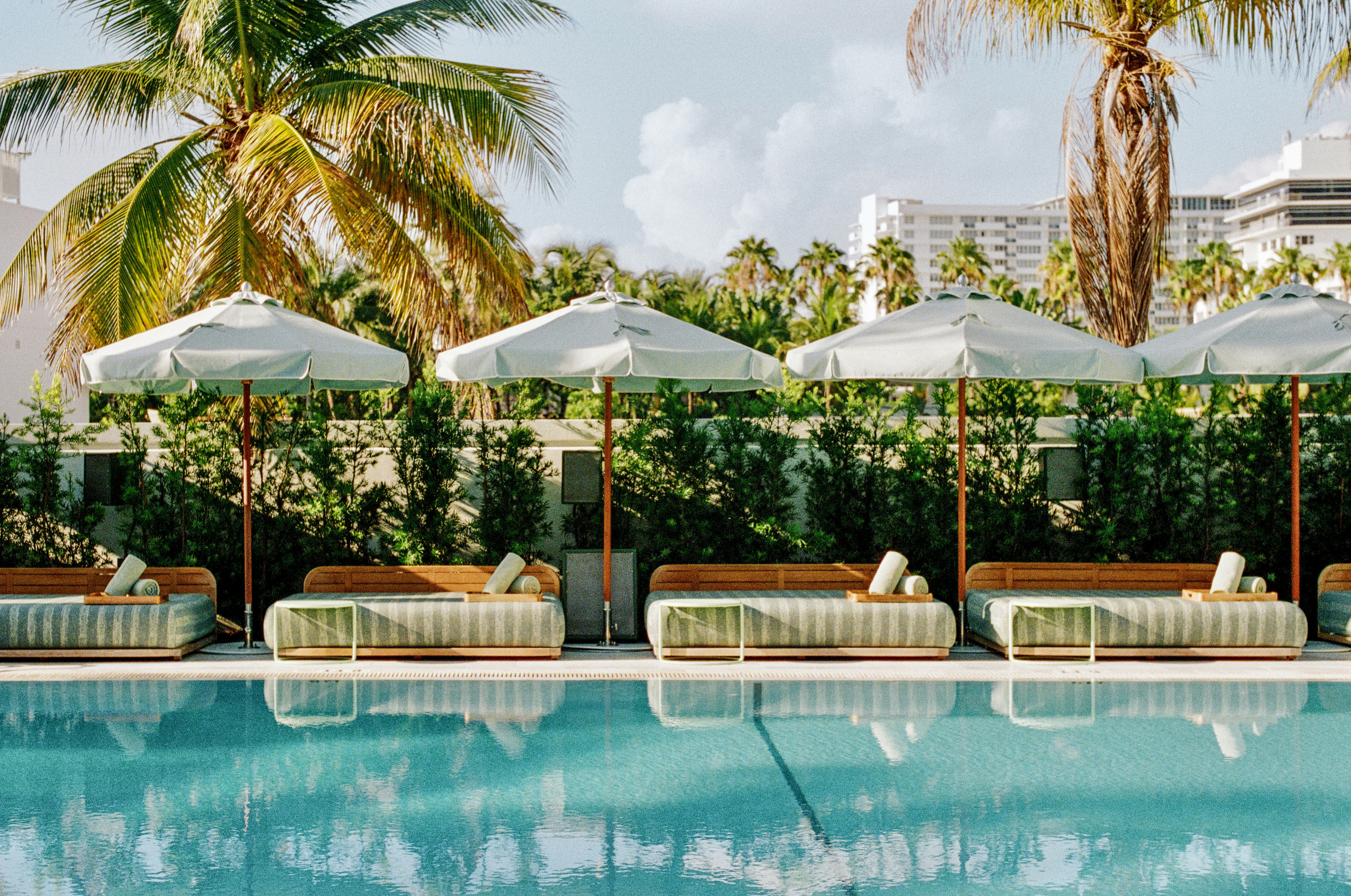 Shelborne South Beach in MIAMI BEACH - FL