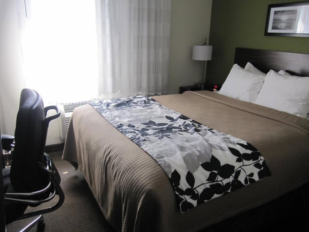 Cresthaven Inn Jamaica Jfk 18/50