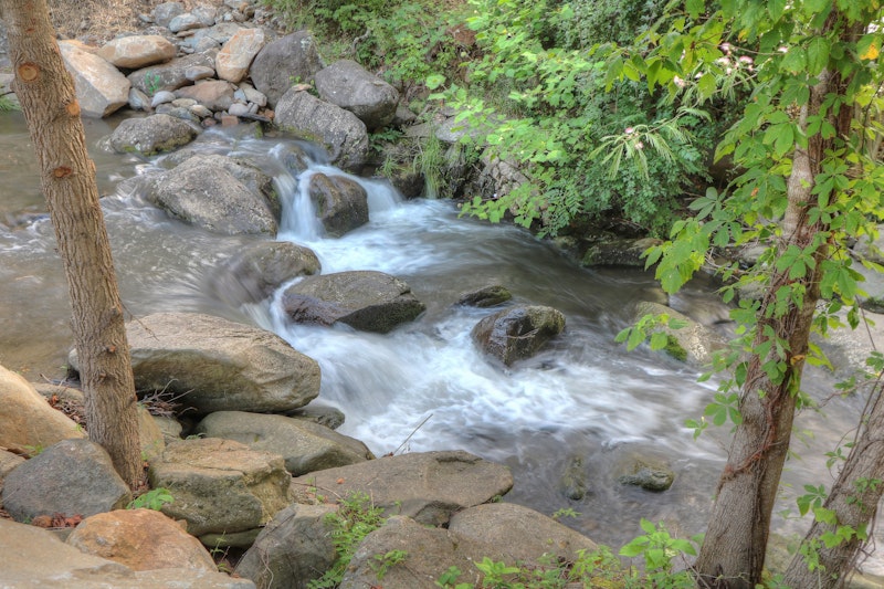 Hampton Inn Gatlinburg Historic Nature Trail 21/53