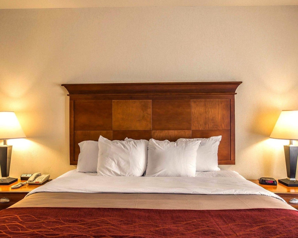 Comfort Inn & Suites Rogersville 10/37