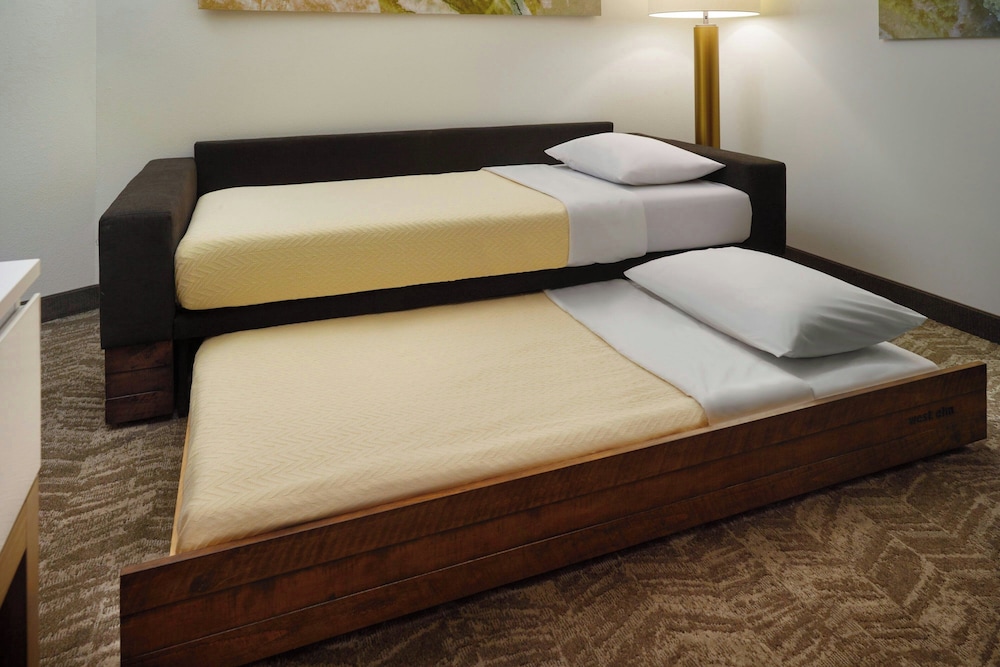 Springhill Suites By Marriott Ellijay 5/21