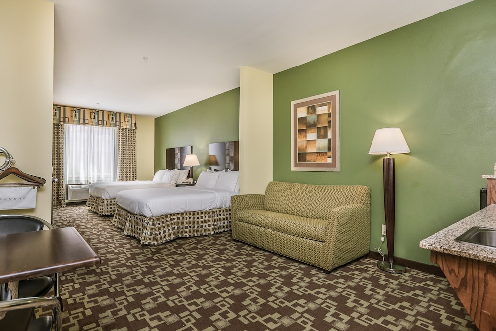 Holiday Inn Express Hotel Suites Dumas 17/72