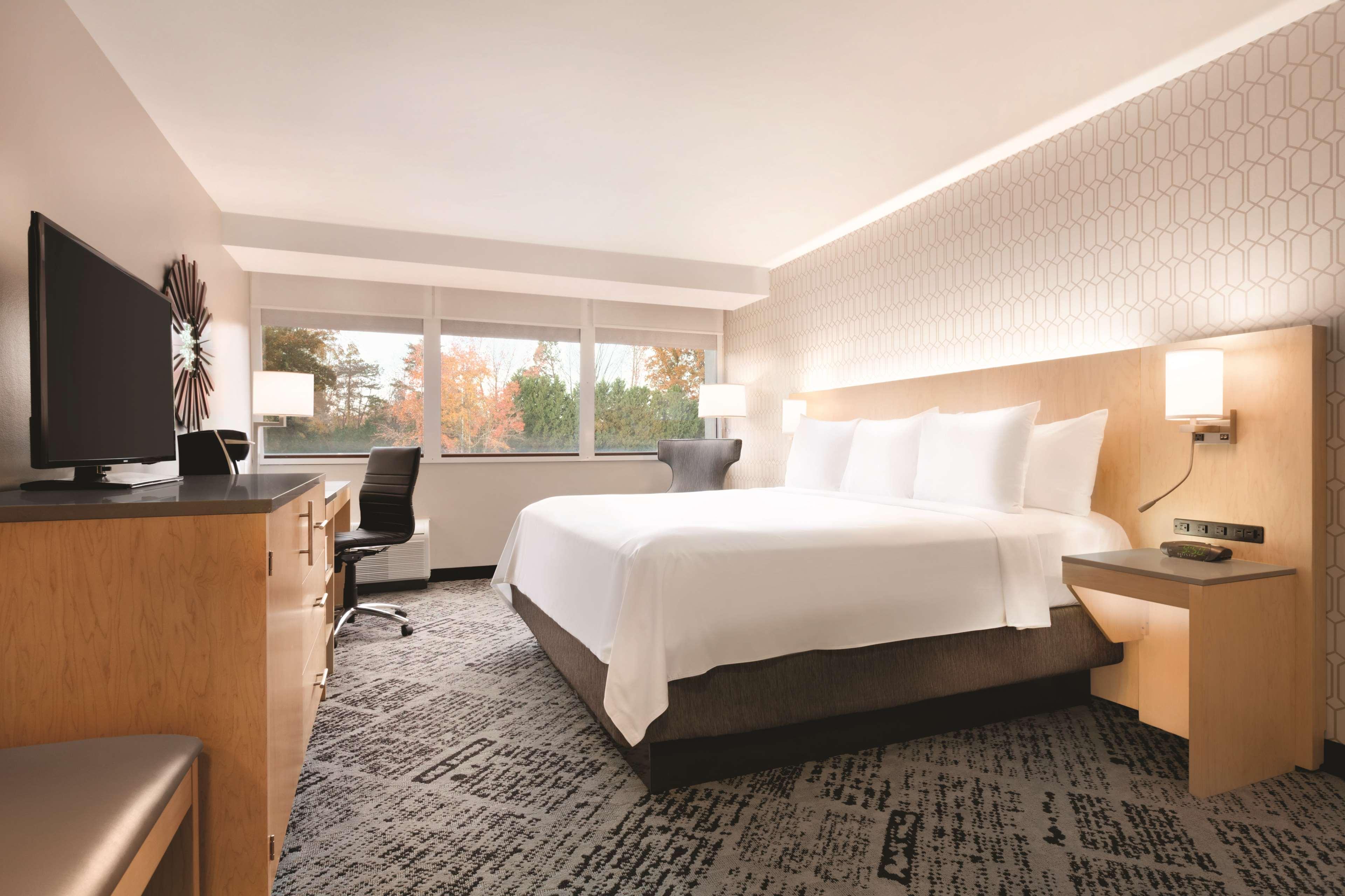SUITE, KING BED