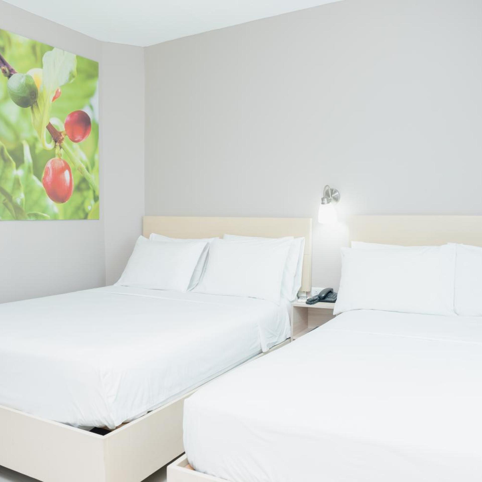 Ribai Hotels Riohacha 9/16