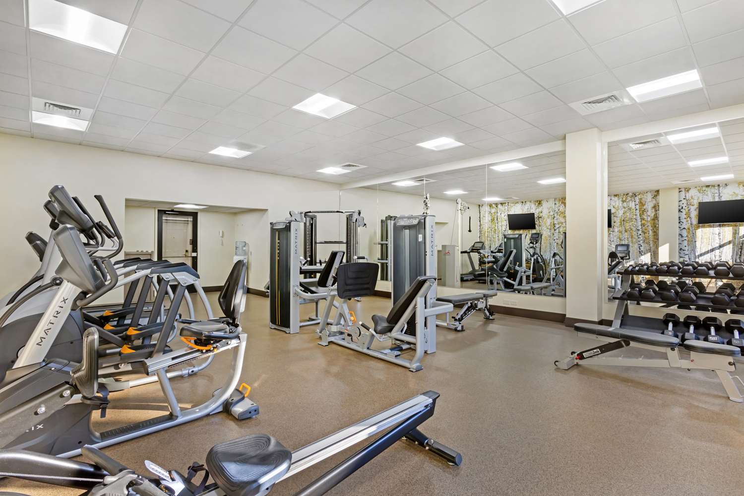 Best Western Plus Grantree Inn 35/52