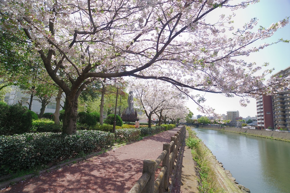 surroundings