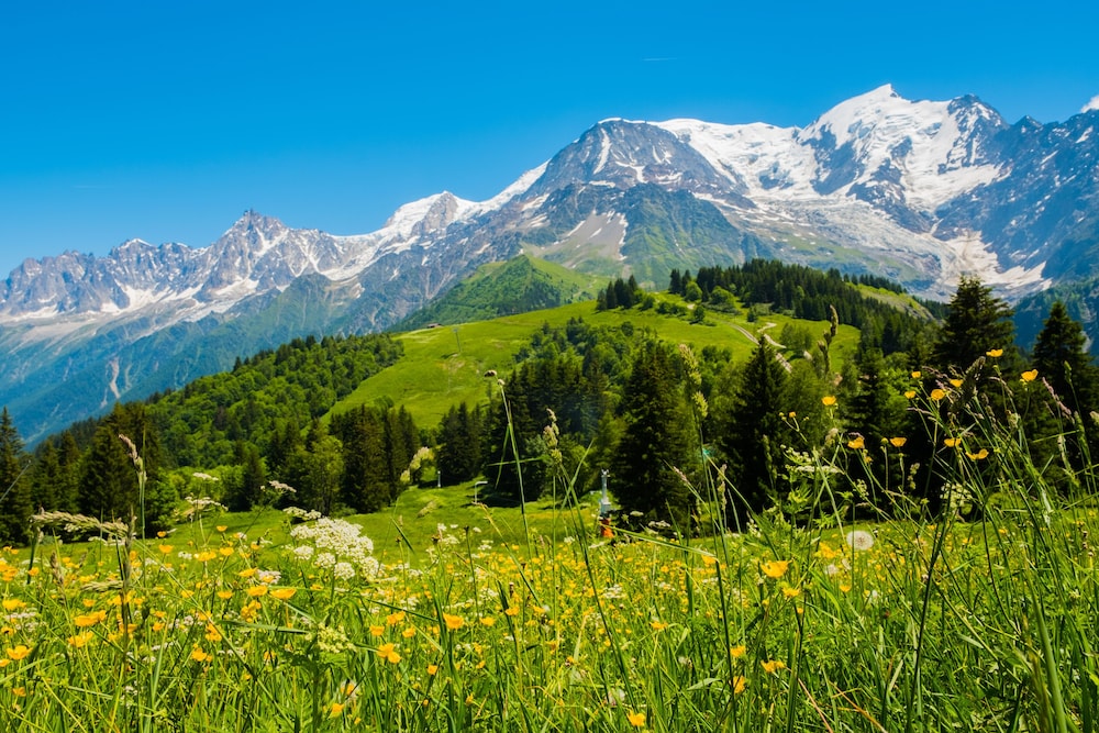Novotel Megeve Mont-Blanc 62/66