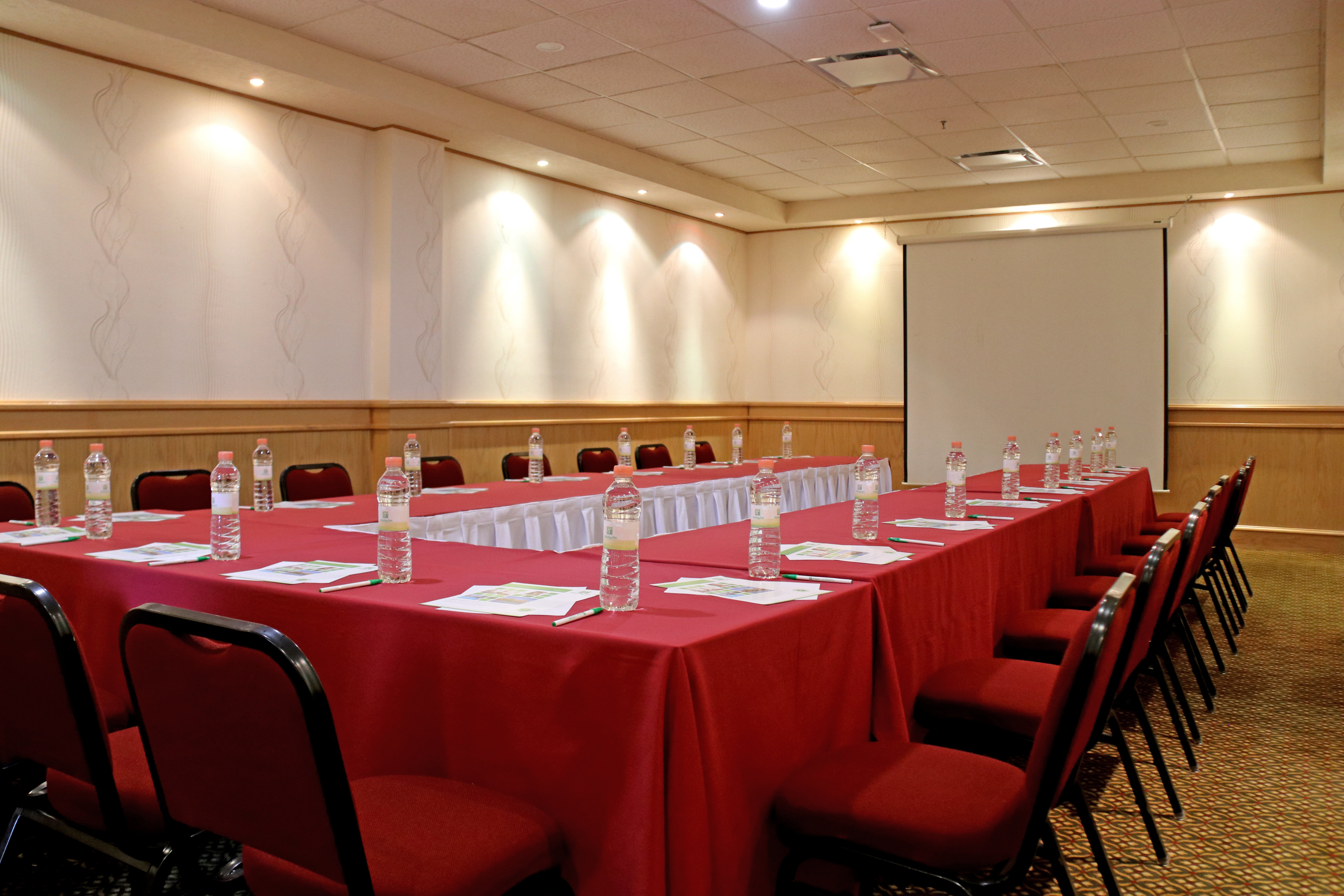 Holiday Inn La Piedad 41/55