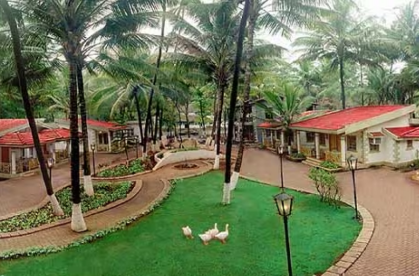 Golden Swan Beach Resort 11/17