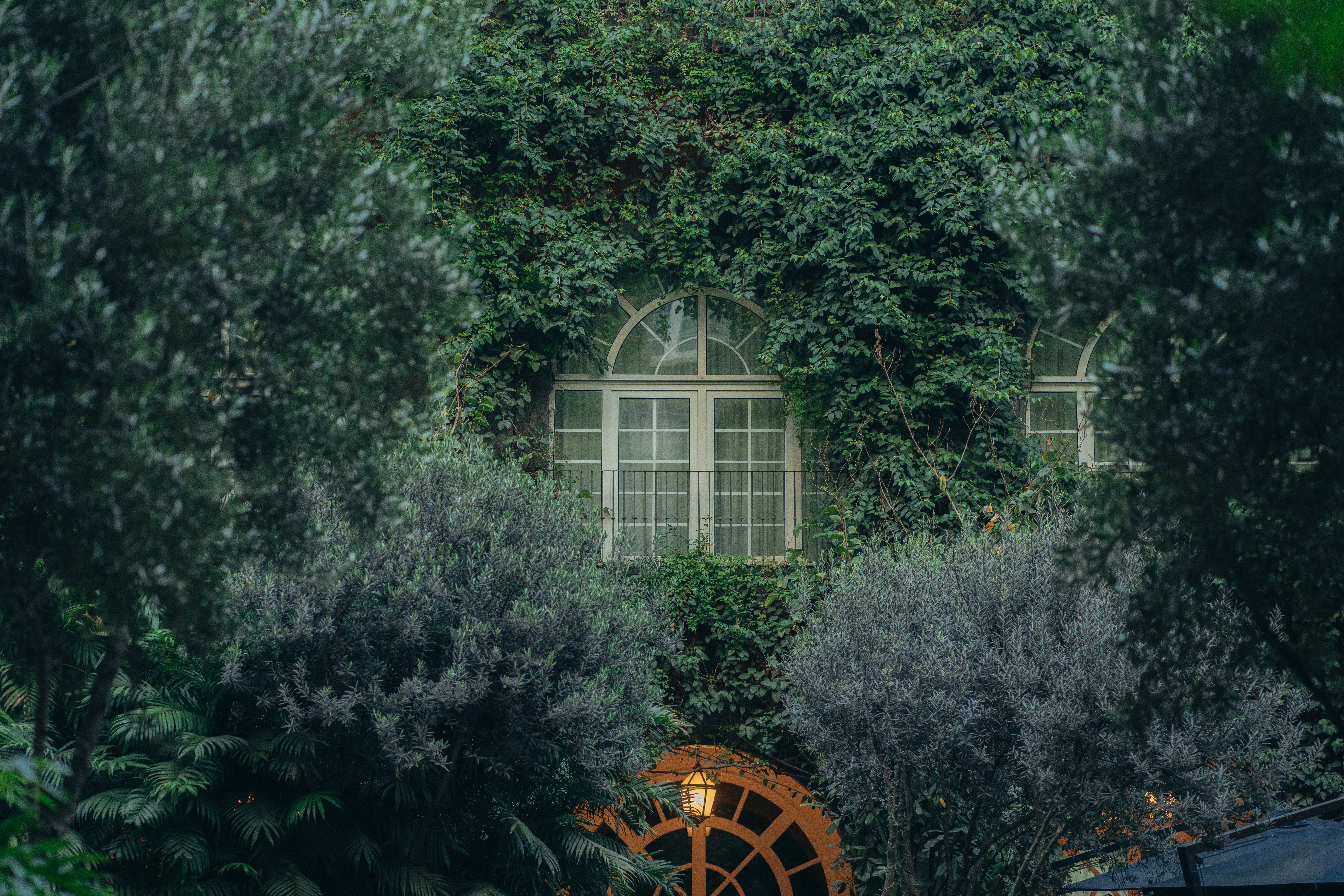 Four Seasons Hotel Mexico City 4/70
