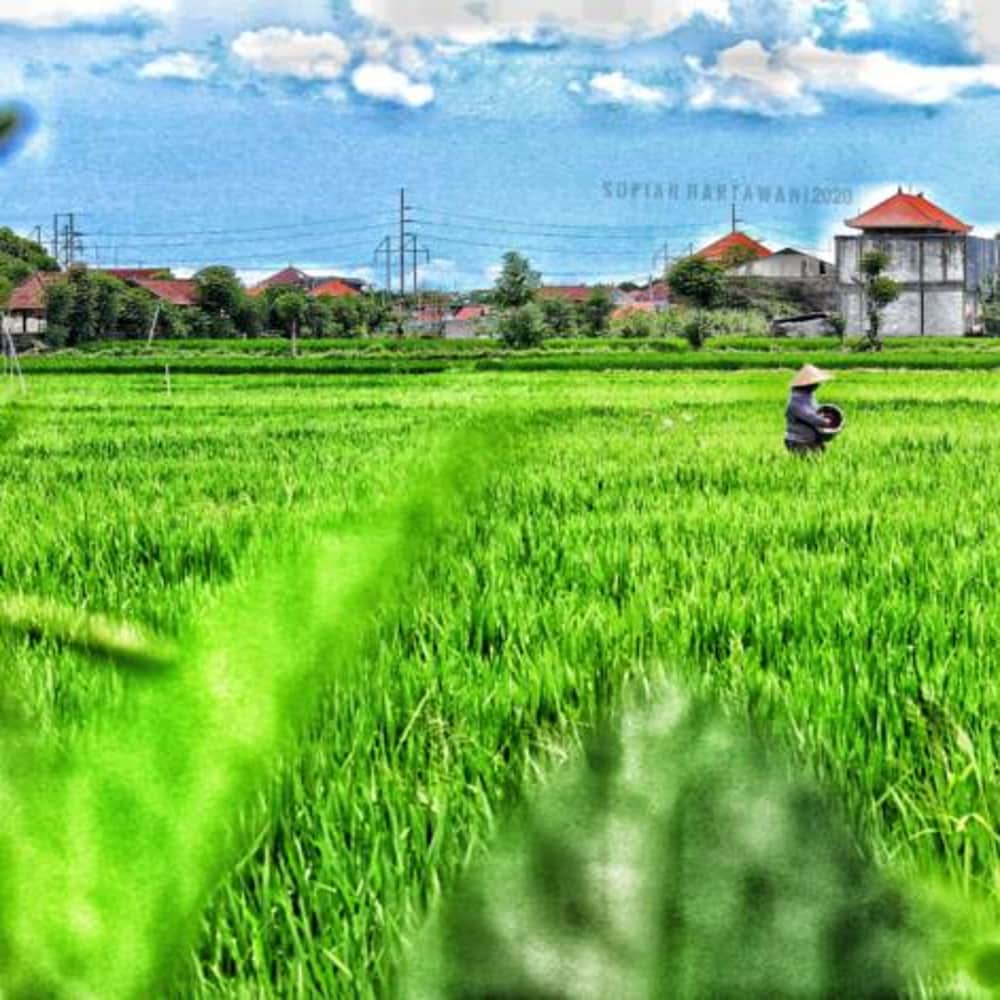 Bali Eco Living Dormitory 44/49