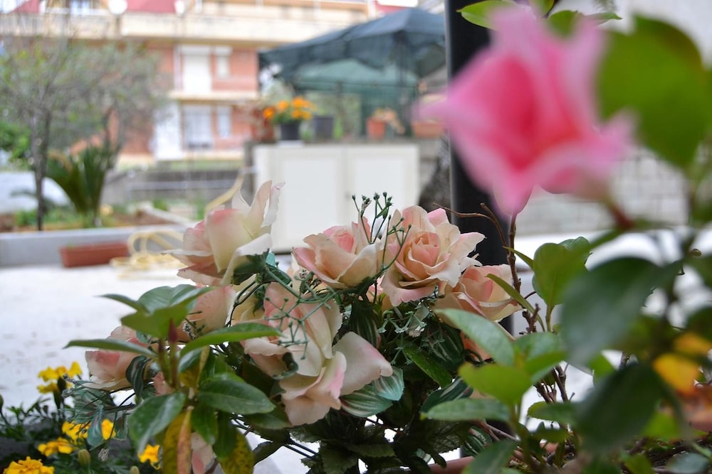 B&B Il Girasole 3/40