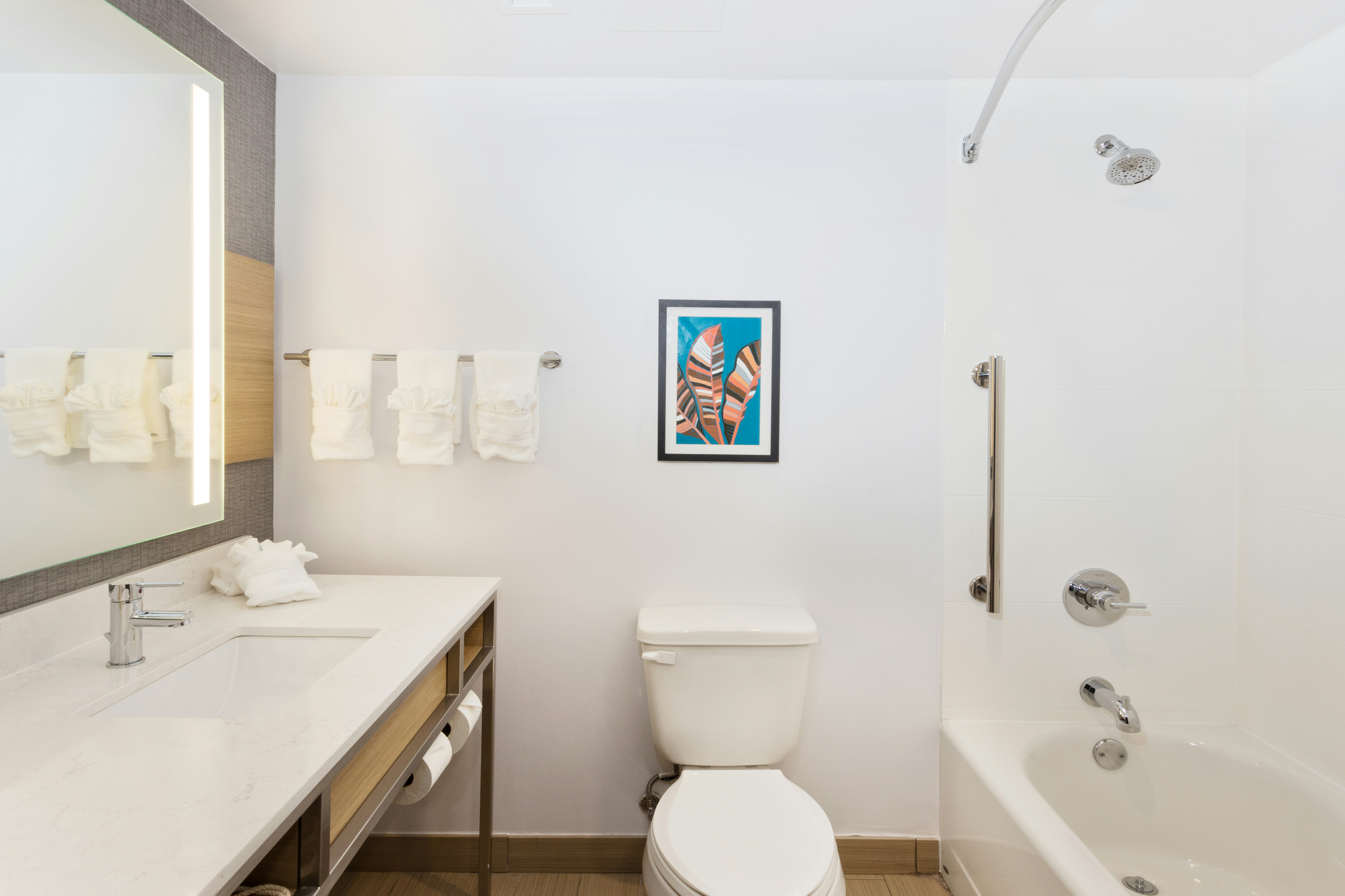 غرفة بسريرين كوين لذوي الإعاقة، Hilton Garden Inn Birmingham Lakeshore Drive 2/2
