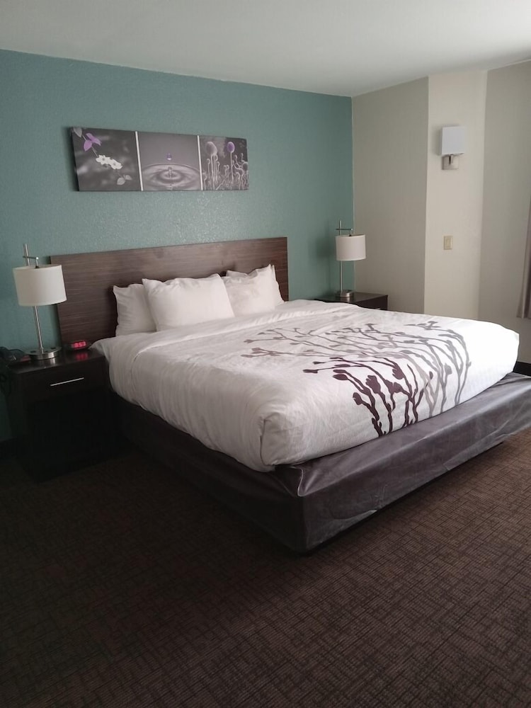 Sleep Inn and Suites Kingsport TriCities Airport 16/50