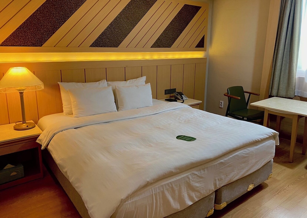 Hotel International 23/66