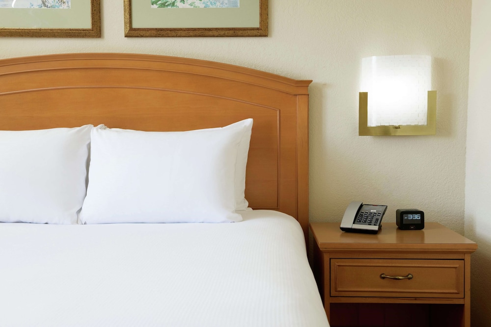 Hilton Suites Boca Raton 8/45