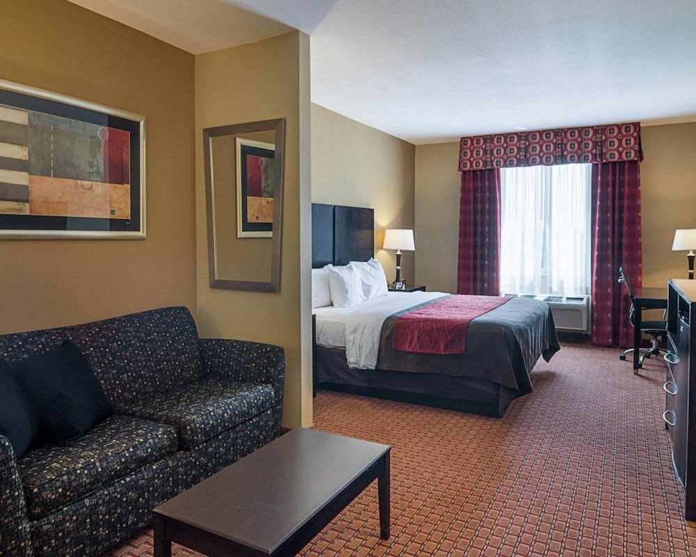 Comfort Inn & Suites Monahans I-20 10/40