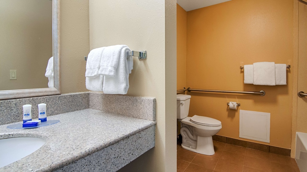 Best Western Plus Atlanta Airport-East 16/33