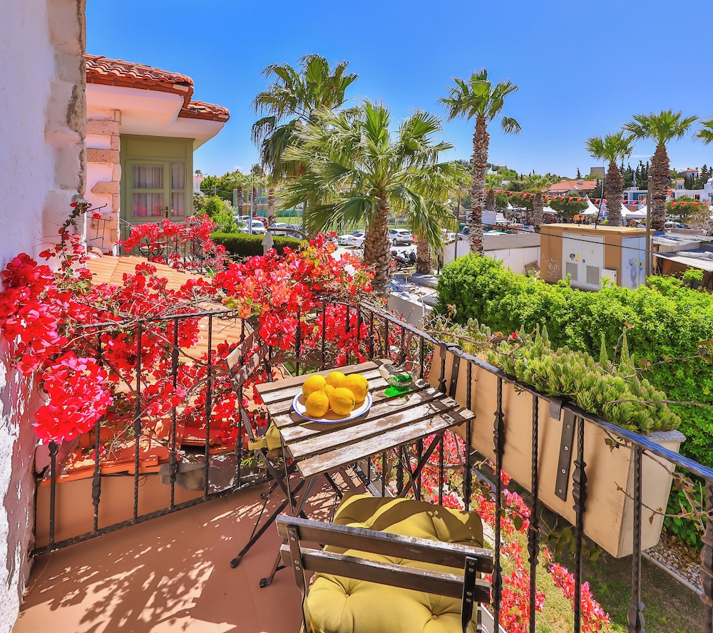 Palas Alacati - Adults Only 32/50