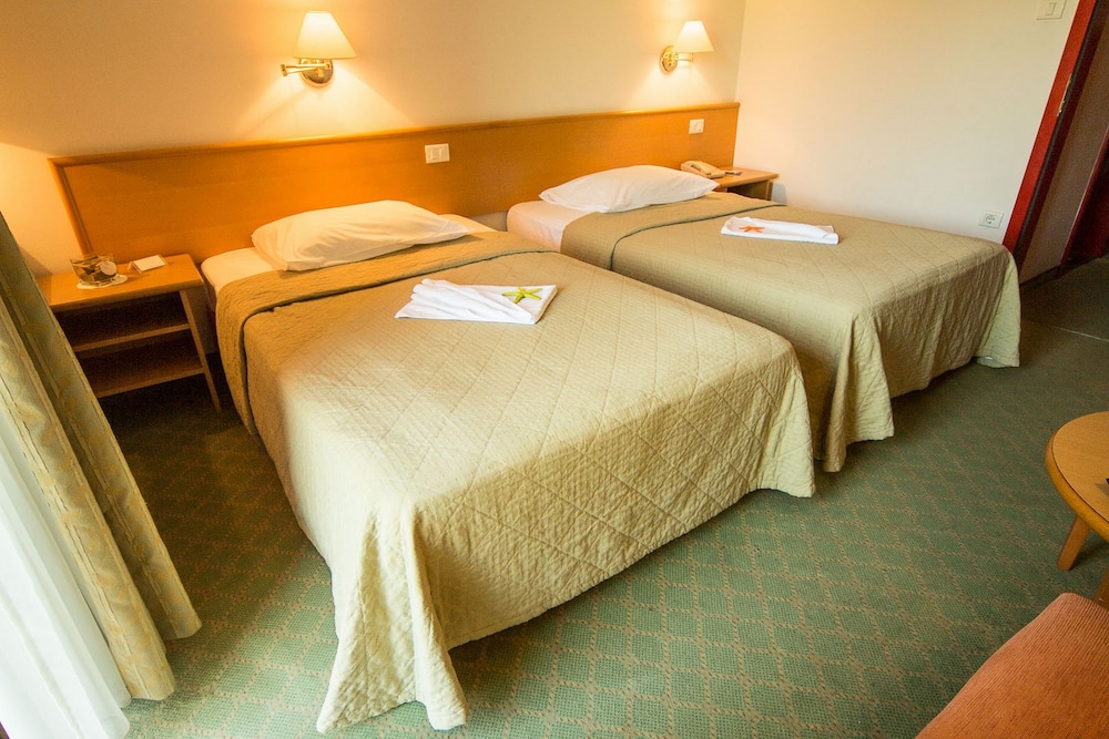 غرفة قياسية بسرير مزدوج بشرفة، Hotel Vile Park 9/10
