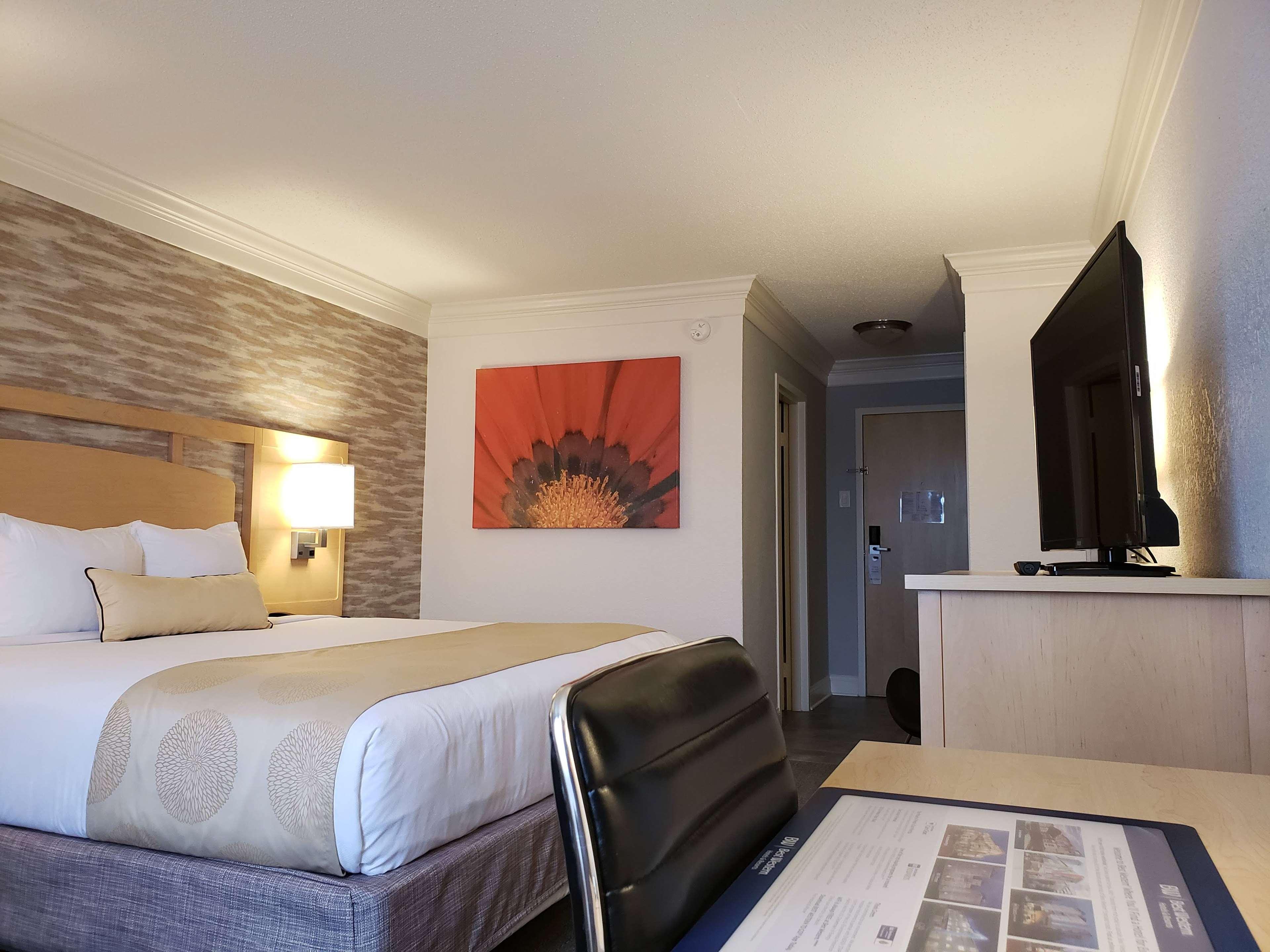 Room, Queen Bed