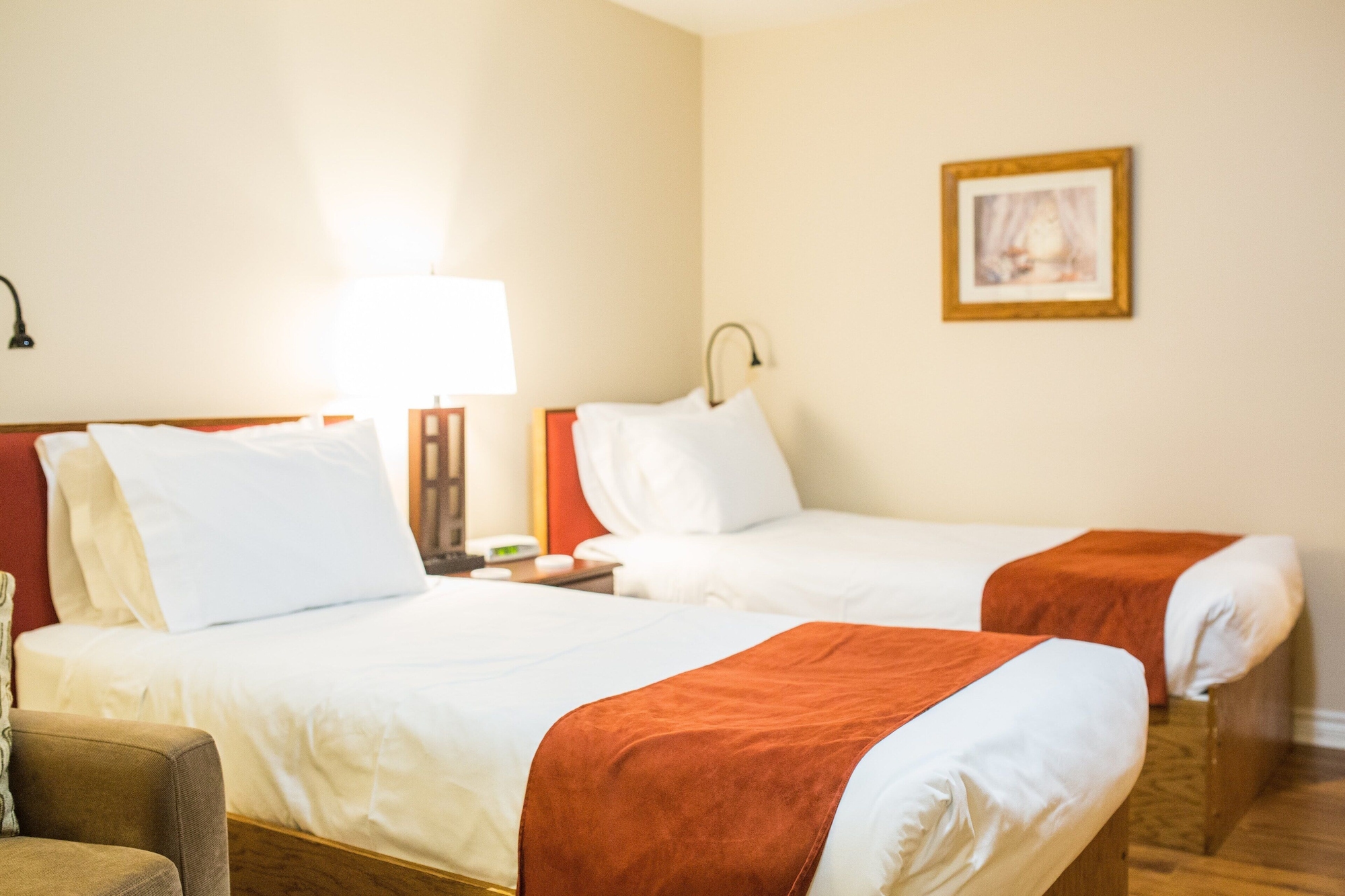 Economy, Basement, Studio, Twin Beds