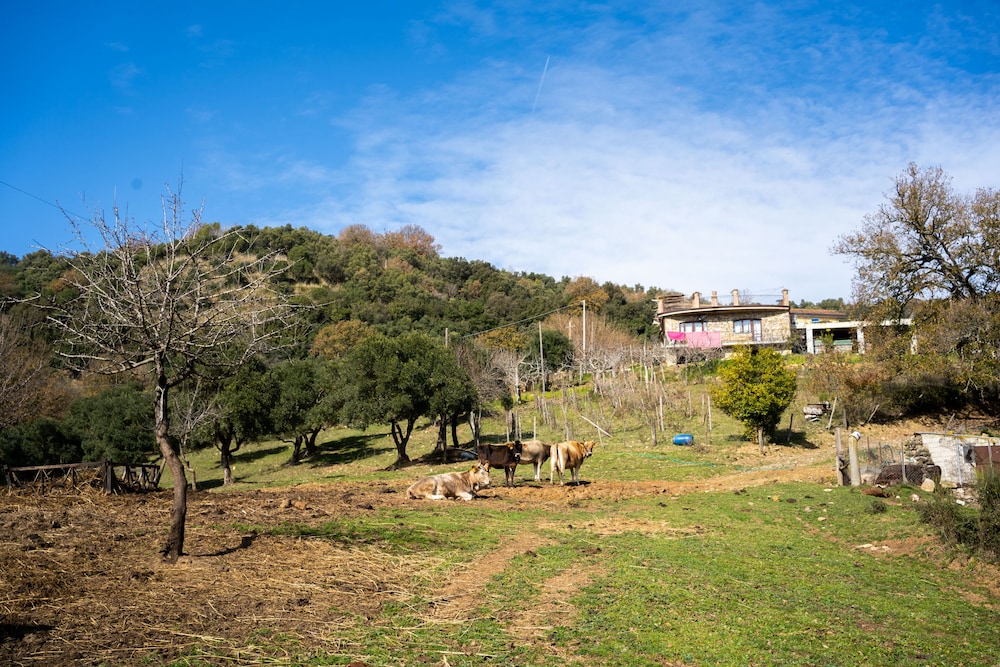 Agriturismo San Basilio 1/65