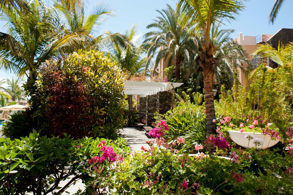 Palm Oasis Maspalomas 37/50