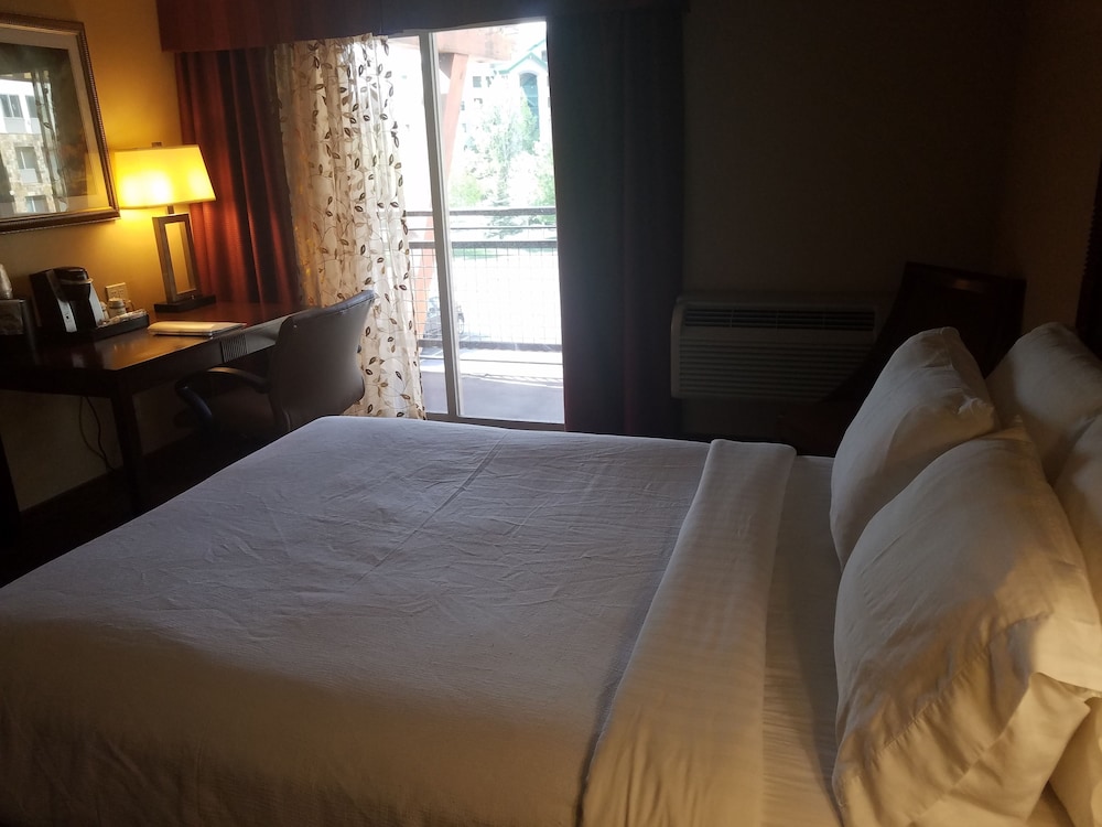 Holiday Inn Friso by IHG 21/68