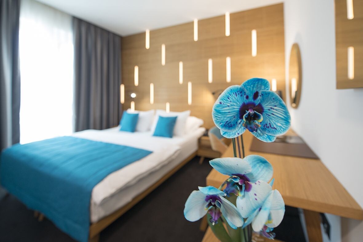 غرفة ديلوكس بسرير مزدوج، Hotel Sana 6/7