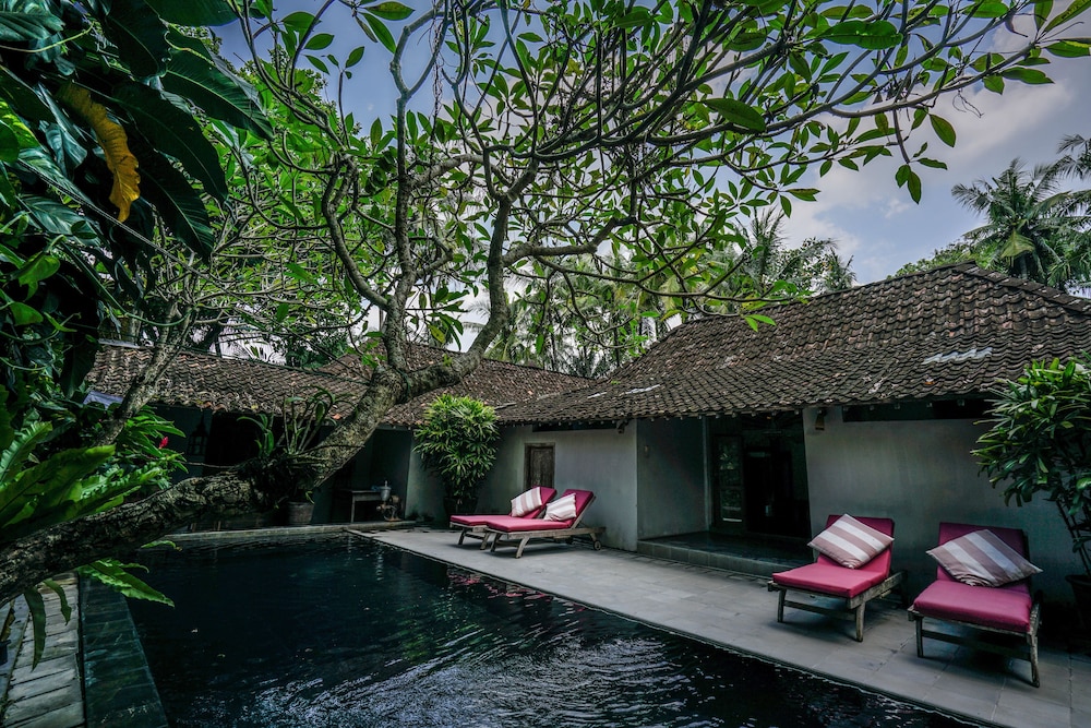 D Omah Hotel Yogyakarta 66/69