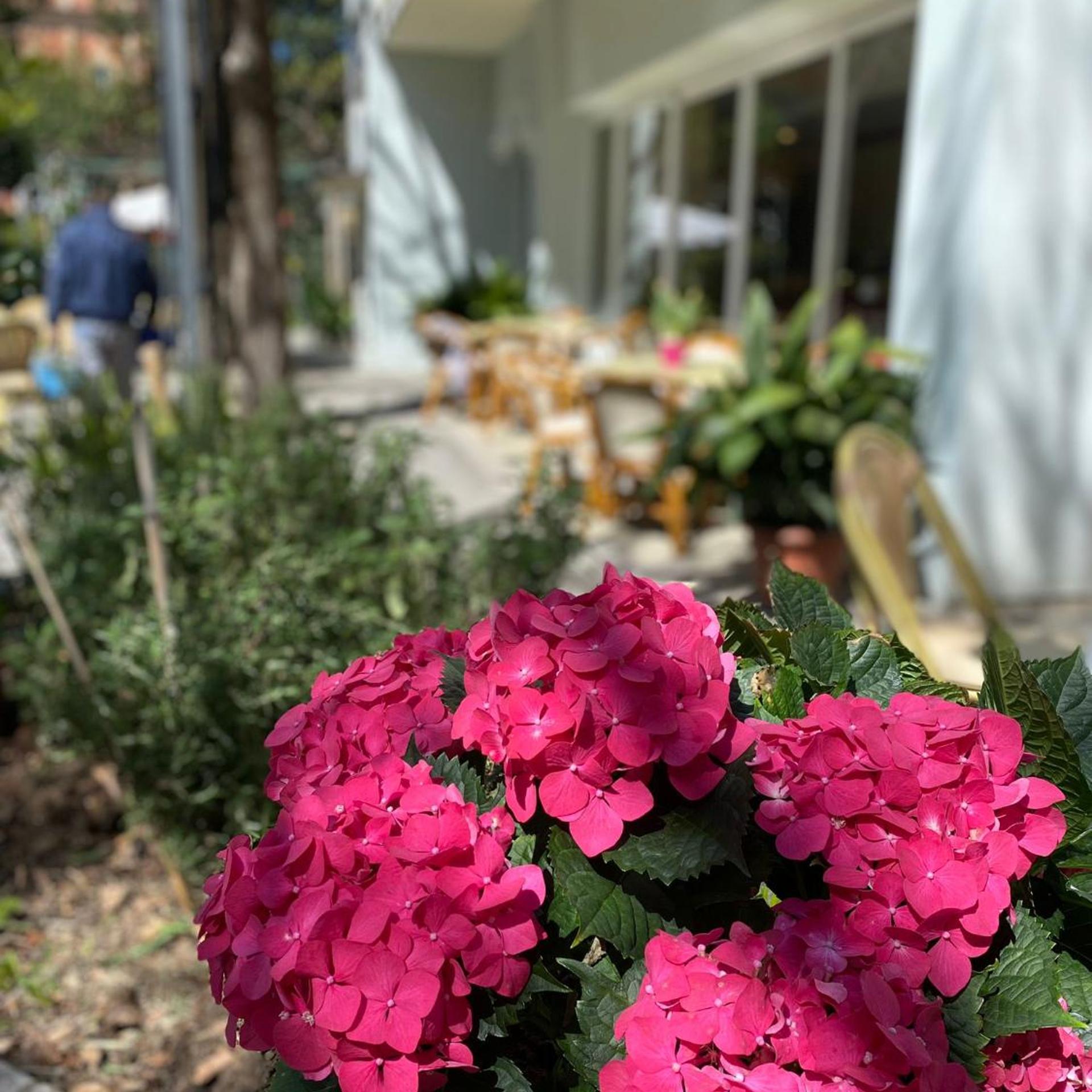 Hotel Capri 43/50