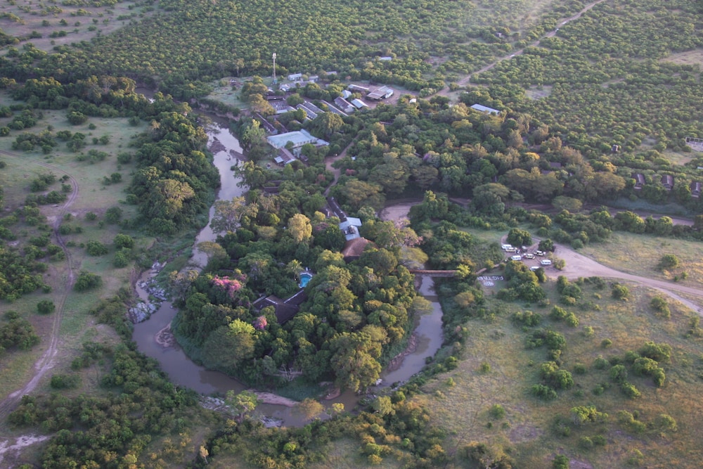 Fig Tree Camp 31/45