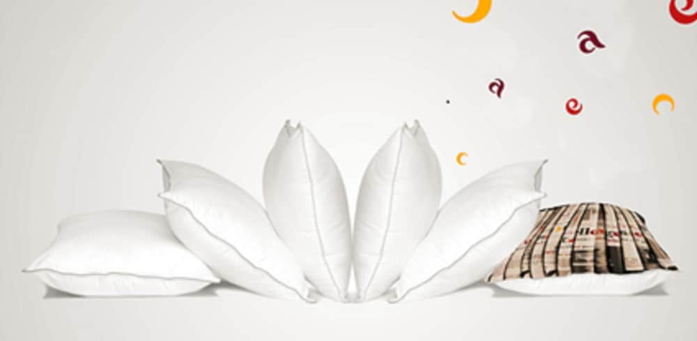 ACE Hotel Paris Sud Villabe 21/49