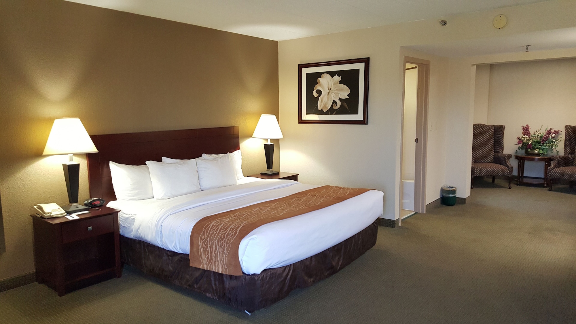 rooms
