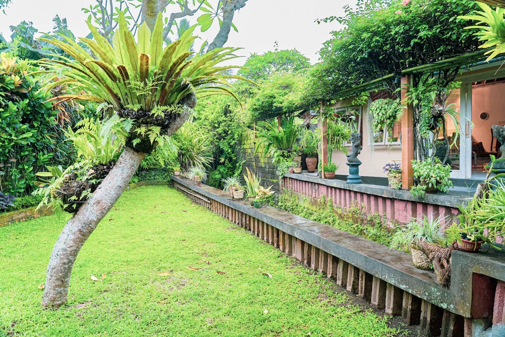 Devi's Place 44/50