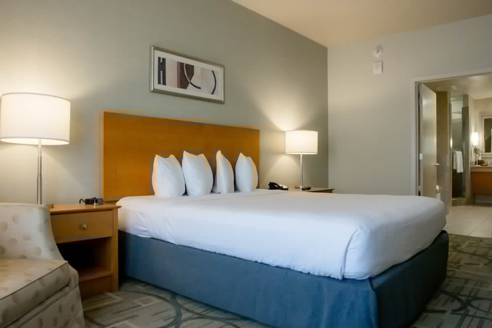The Platinum Hotel 18/65