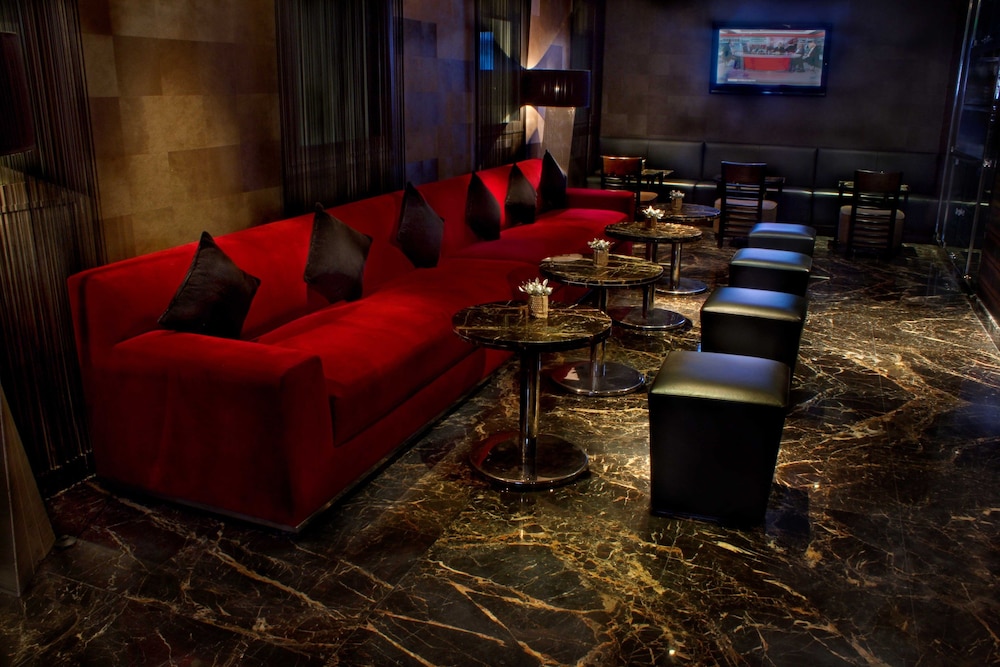 Radisson Blu Marina Hotel Connaught Place 49/75