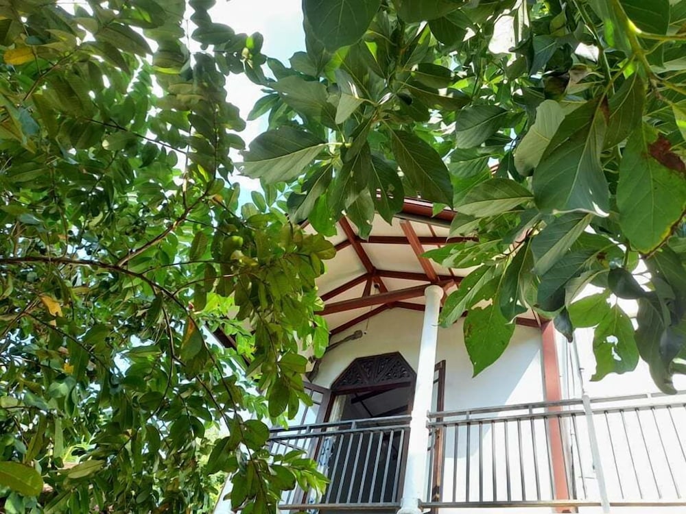 Homestay 24 27/32