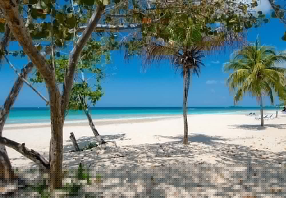 Beaches Negril 75/81
