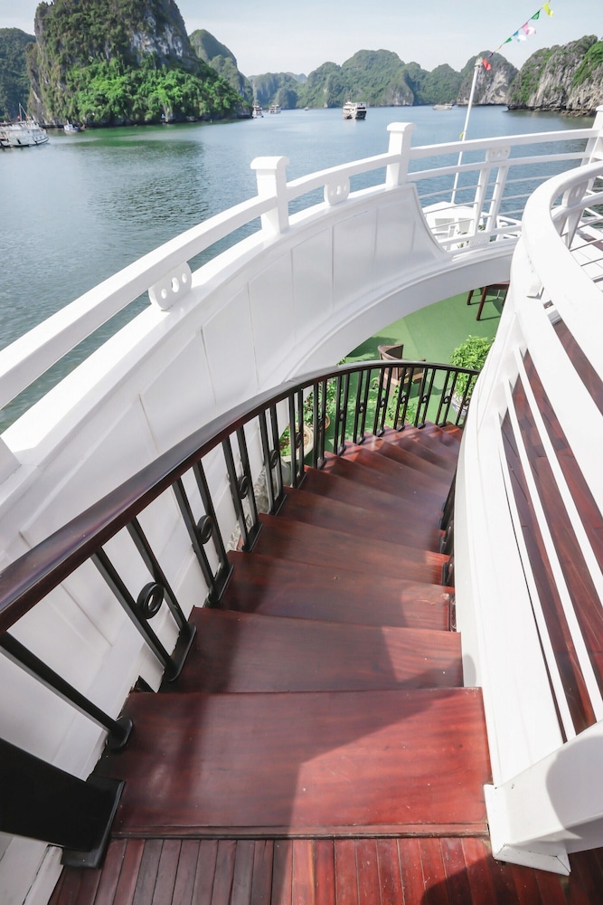 Starlight Cruise 25/46
