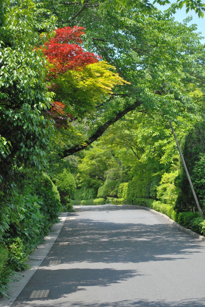 Biwako Hanakaido 45/50