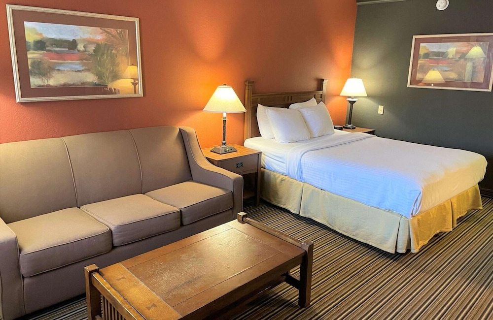Standard, Single, Queen Bed, Sofa