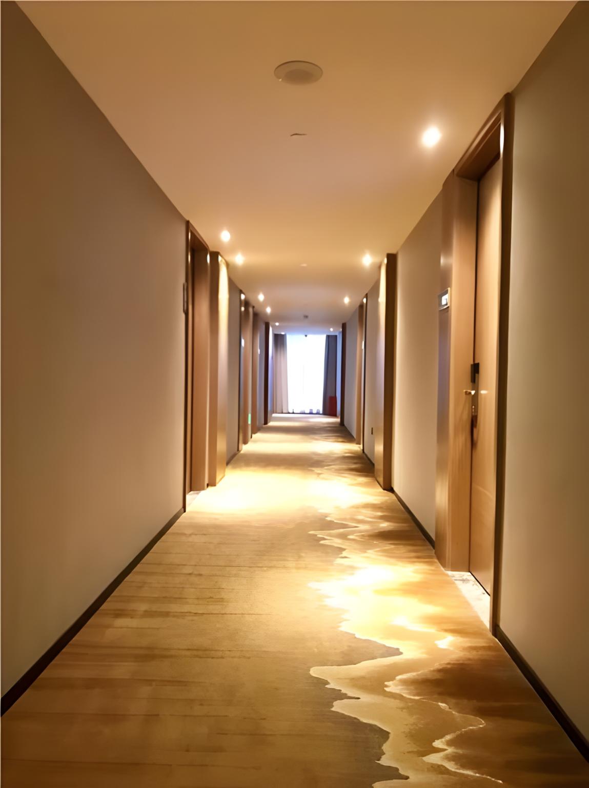 Borrman Hotel Liuzhou Guizhong Avenue Liugao 56/59
