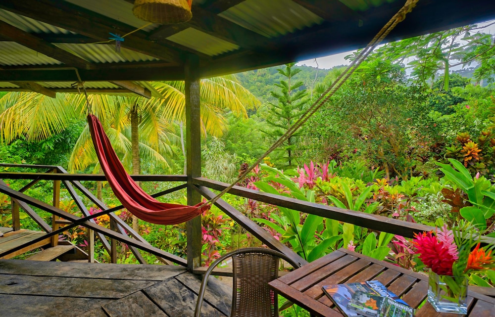 Hibiscus Valley Inn 43/50