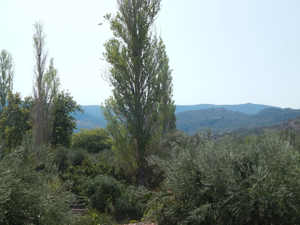 ANAXOS GARDEN 51/64