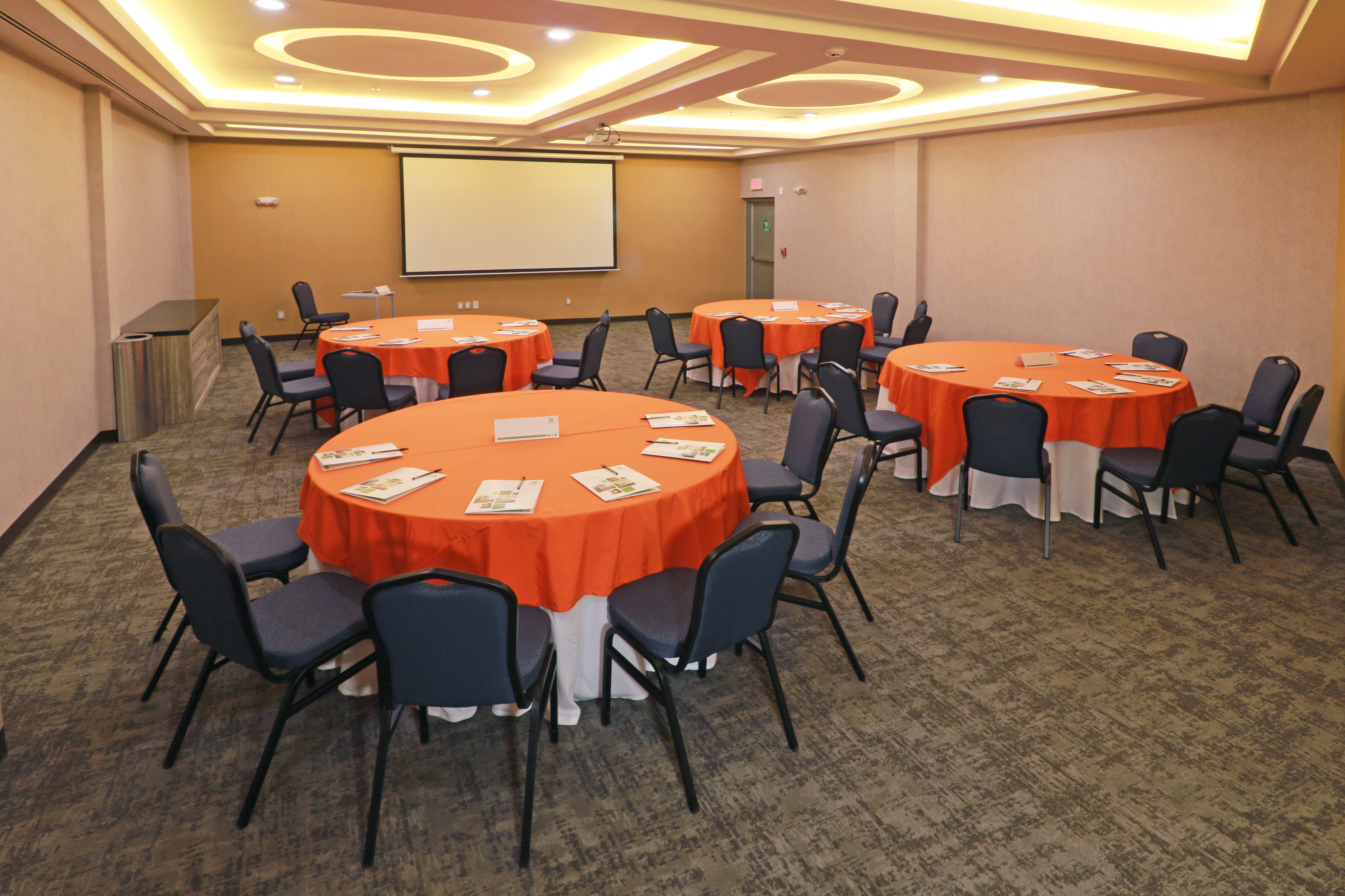 Holiday Inn Ciudad Juarez 44/50