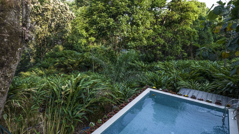 Spice Jungle Resort 32/58