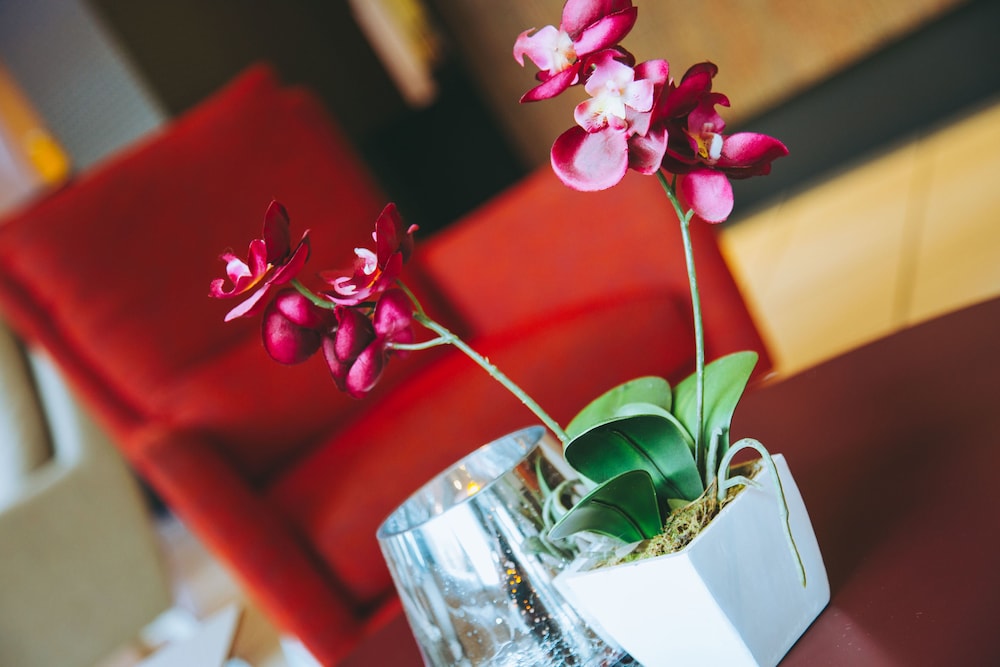Holiday Inn York City Centre by IHG 20/40