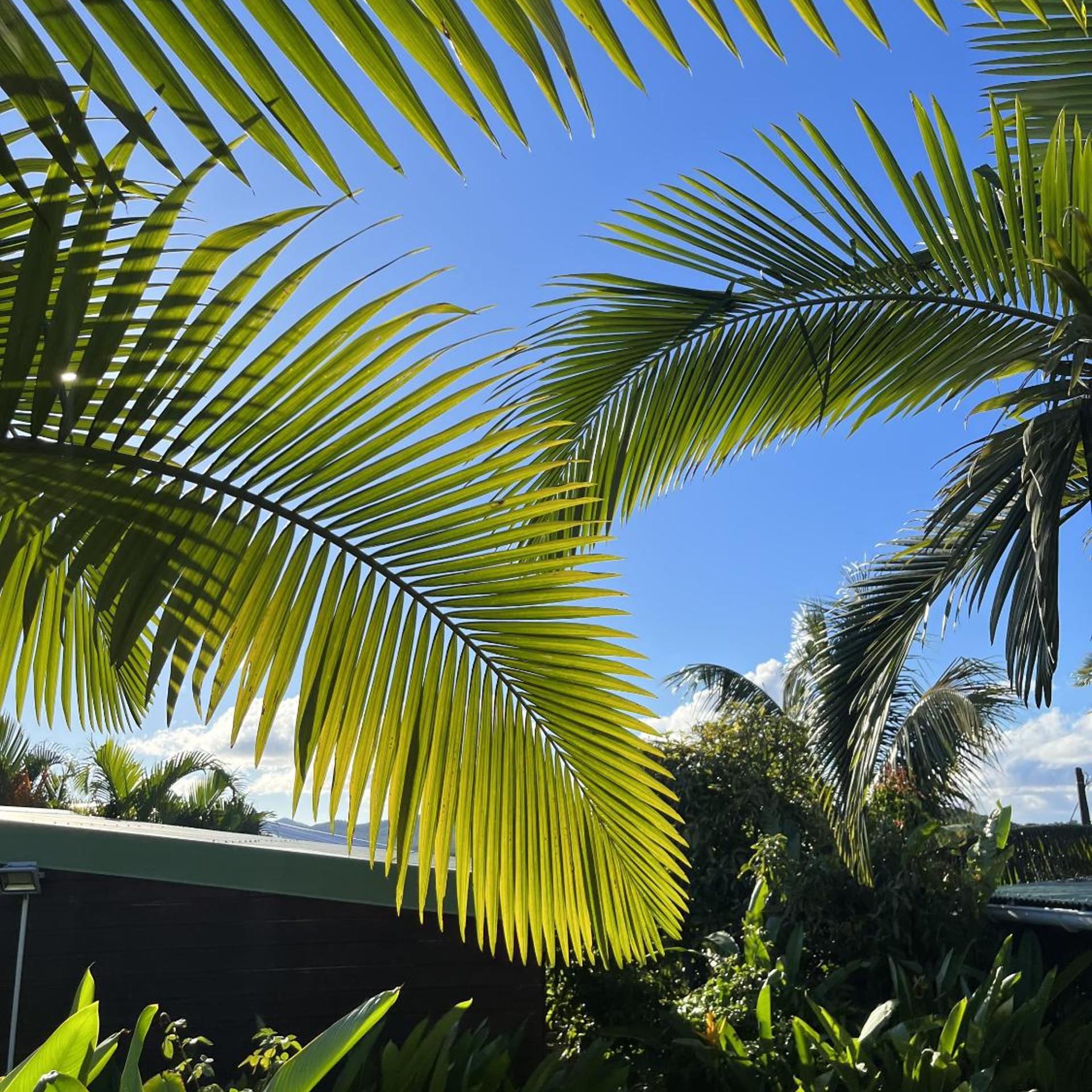 Eden Paradise Spa Ecolodge 34/52
